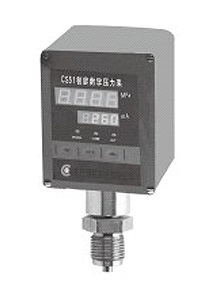 污水處理配套用CS51CIIIREK8N1智能壓力控制器